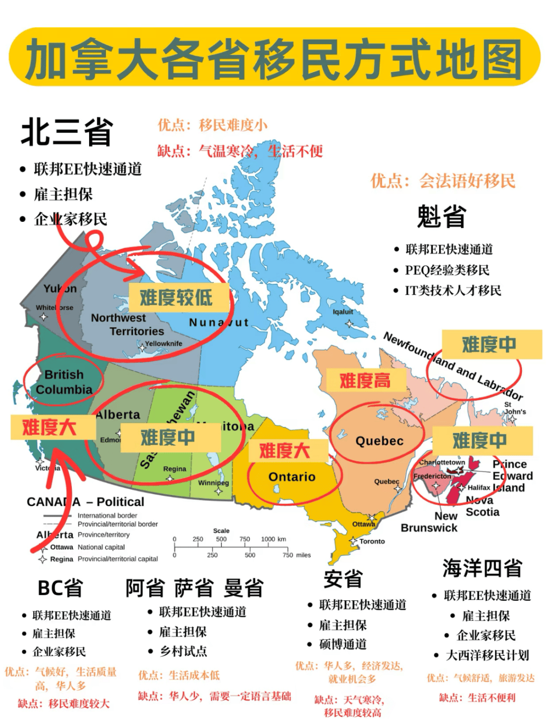 关于穆古鲁扎连续七场比赛得分超过出色发挥，加拿大队不断突破！的信息