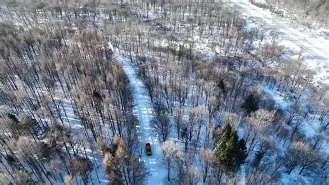  西城鲸鲨队鏖战岭北黑豹队，摔跤总决赛爆冷，转换速度占优。精神属性拉满